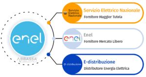 Differenze Tra Servizio Elettrico Nazionale E Enel Energia