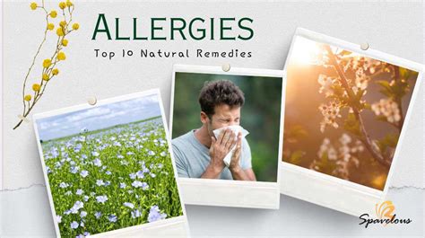 Top 10 Natural Remedies For Seasonal Allergies Spavelous