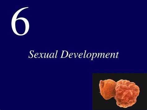 Ppt Sexual Development Powerpoint Presentation Free Download Id 4527469