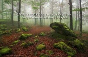 Beautiful Quotes on Nature - Spiritual Quotes