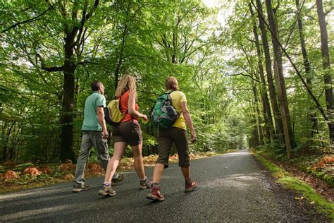 Prenez L Air S Jour Et Tourisme Avec Le Pays D Ancenis