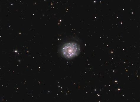 Ngc 2608 Galaxy : Ngc 2608 Spiral Galaxy : About 60% of the width of ...