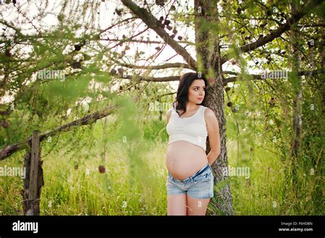 Pregnant Gorgeous Brunette Woman Stock Photo Alamy