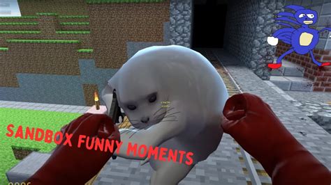 Funny Garrys Mod Sandbox Moments Dumbsht Nextbots Cutoffs And More