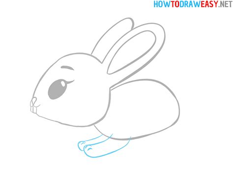 draw  cartoon bunny   draw easy