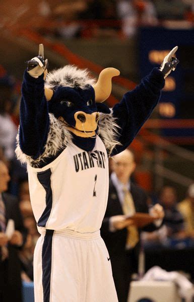 53 Best Images About College Mascots Mwc On Pinterest San Diego