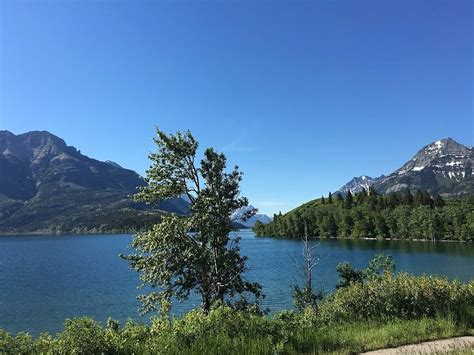 Townsite Campground Reviews Waterton Lakes National Park Canada