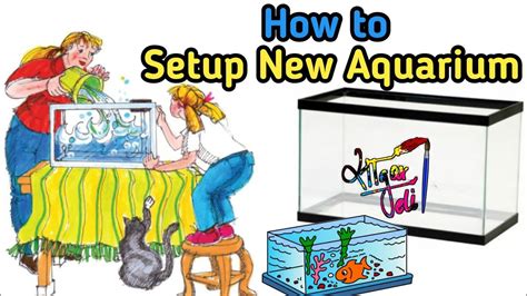 Comment Configurer Un Nouvel Aquarium