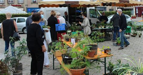 Phalsbourg Bourse Aux Plantes Et March Artisanal