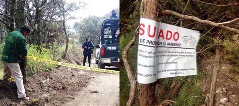 Profepa La Ley Al Servicio De La Naturaleza Clausura Profepa