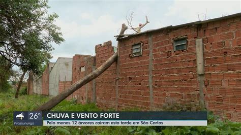 VÍDEO chuva forte em São Carlos destelha casa e derruba 12 árvores