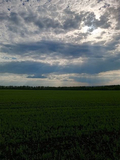 Саншайн(проникающий солнечный свет) весеннем пейзаже