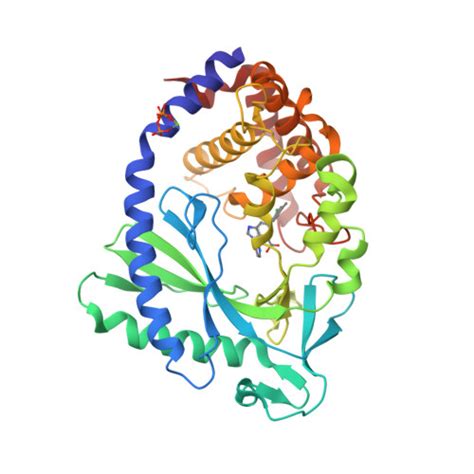 Rcsb Pdb Fub Crystal Structure Of Human Cyclic Gmp Synthase In