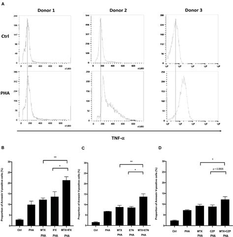 Frontiers Methotrexate Enhances Apoptosis Of Transmembrane Tnf Expressing Cells Treated With