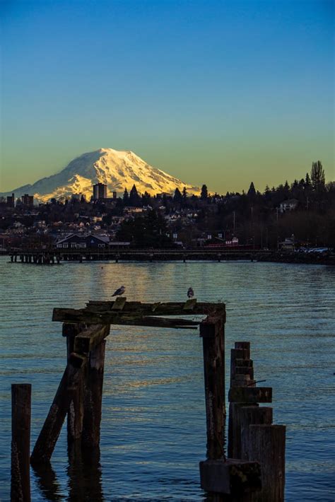 Waterfront Views : r/Tacoma