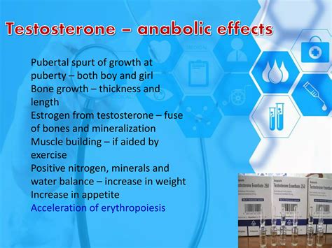 Androgens Male Sex Hormones PDF