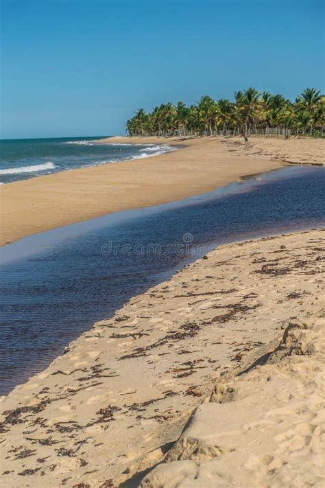 Taipe Beach - A Brazilian Tropical Beach Stock Photo - Image of destination, atlantic: 29821692