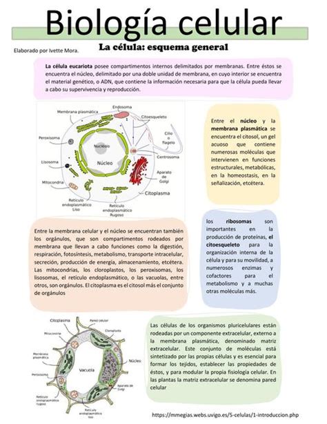 Biologia Celular Intro Ivette Mora Udocz