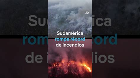 Qué es el método del fuego Actualizado septiembre 2024