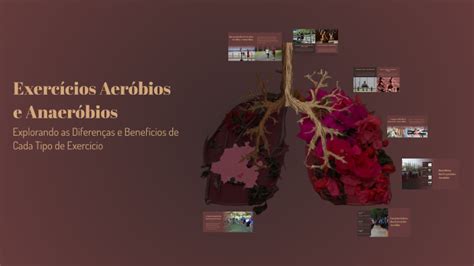 Exercicios Aeróbios E Anaeróbios - Exercícios Aeróbios e Anaeróbios by Débora Giovana on Prezi