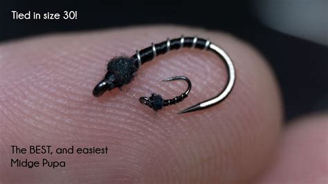 Size 30 Black Beauty Midge Mcfly Angler Midge Nymph Fly Tying