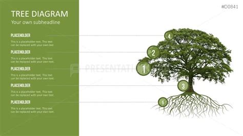 Tree Diagram PowerPoint Template | Tree diagram, Powerpoint templates, Tree