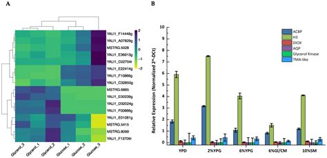 Microorganisms Free Full Text Identification And Construction Of