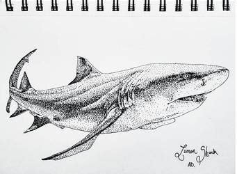 #lemonshark | Explore lemonshark on DeviantArt