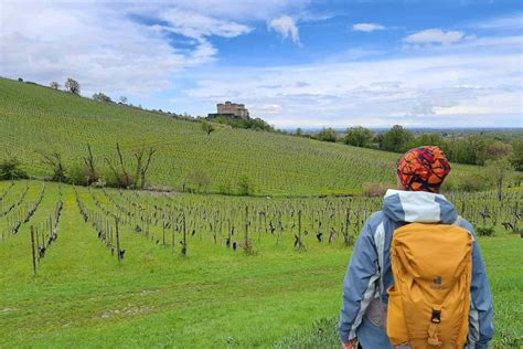 Nelle Terre Del Lambrusco Al Castello Di Torrechiara Lungo Il Sentiero