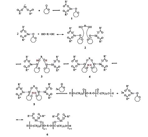 Schematic of the proposed mechanism of ring opening polymerization of ...