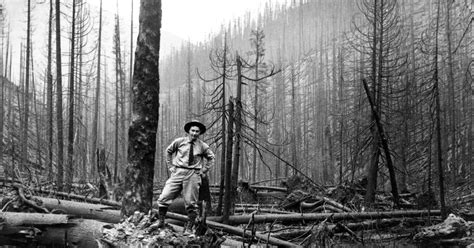 Americas Worst Wildfire The Big Burn Of 1910