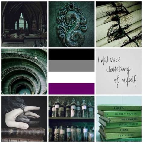 LGBTQ+ Aesthetics | Character aesthetic, Aesthetic, Lgbtq