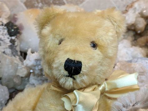 1950s 1960s Vintage Gold Steiff Original Teddy Bear Kerst