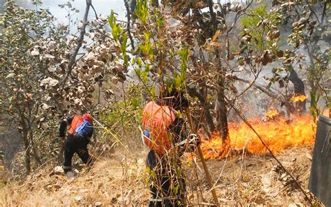 Incendio forestal en cerro del Huixteco afecta 200 hectáreas policiaca