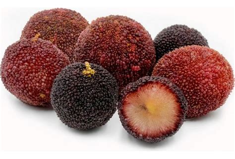 Frutas Com A Letra Y - Fruta com Y - Lista de frutas com a letra Y em ordem alfabética
