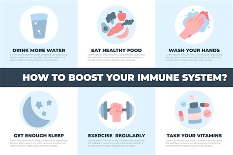 Free Vector Boost Your Immune System Infographic