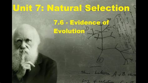 Ap Biology Unit 7 7 6 Evidence For Evolution Youtube