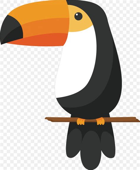 Bird Toco Toucan Drawing Keel-billed Toucan, PNG, 1082x1319px, Bird ...