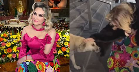 El Tierno Gesto De Aracely Ar Mbula Con Un Perrito En La Bas Lica De