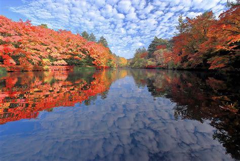 【2023】軽井沢の紅葉スポット7選！見頃時期やおすすめの見どころを紹介 ｜じゃらんニュース