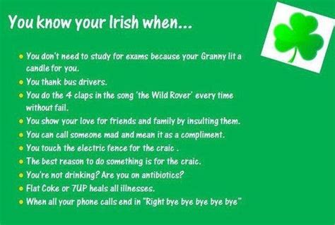 Beautiful Irish Girls Quotes Quotesgram