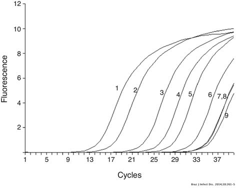 Detection Of Hepatitis B Virus A1762t G1764a Mutant By Amplification