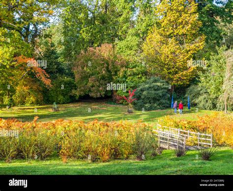 Autumn Landscape, The Hidden Gardens, The Savill Garden, Windsor Great Park, Surrey, England, UK ...