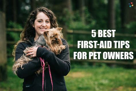 5 Best First-aid Tips For Pet Owners | The Lifesciences Magazine