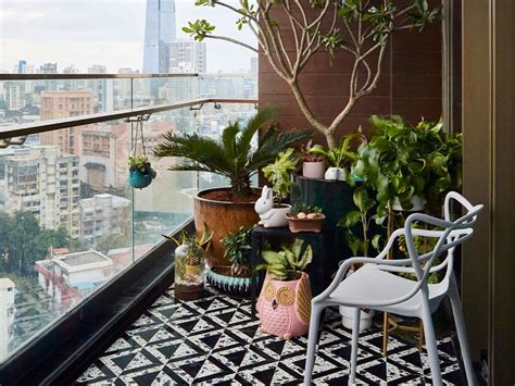 plants  grow  balcony  kiara victor blog
