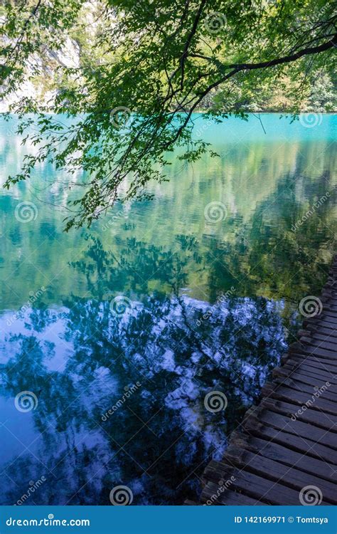 Turquoise Waters Of Plitvice Lakes National Park In Croatia Stock Image Image Of Park