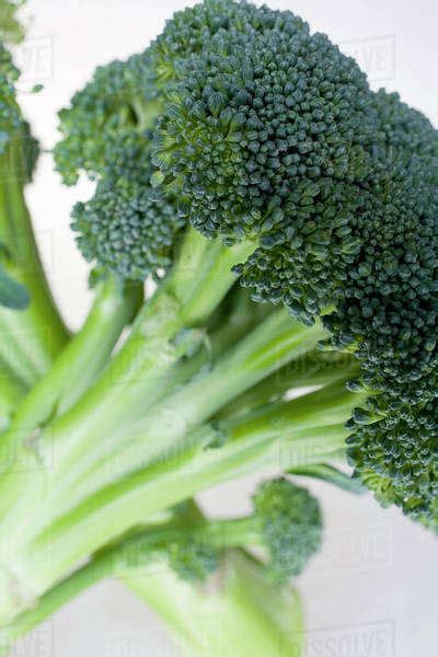 Bunch Of Broccoli Stock Photo Dissolve