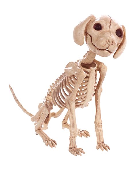 Sitzendes Hunde Skelett Cm Als Halloween Deko Horror Shop