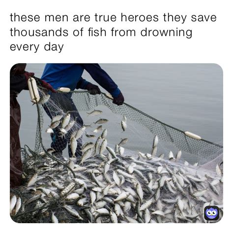 These Men Are True Heroes They Save Thousands Of Fish From Drowning