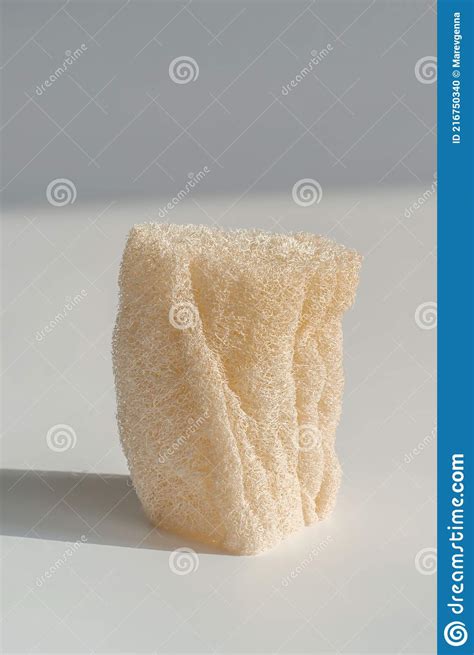 Esponja Natural Loofah Sobre Fundo Branco Foto De Stock Imagem De